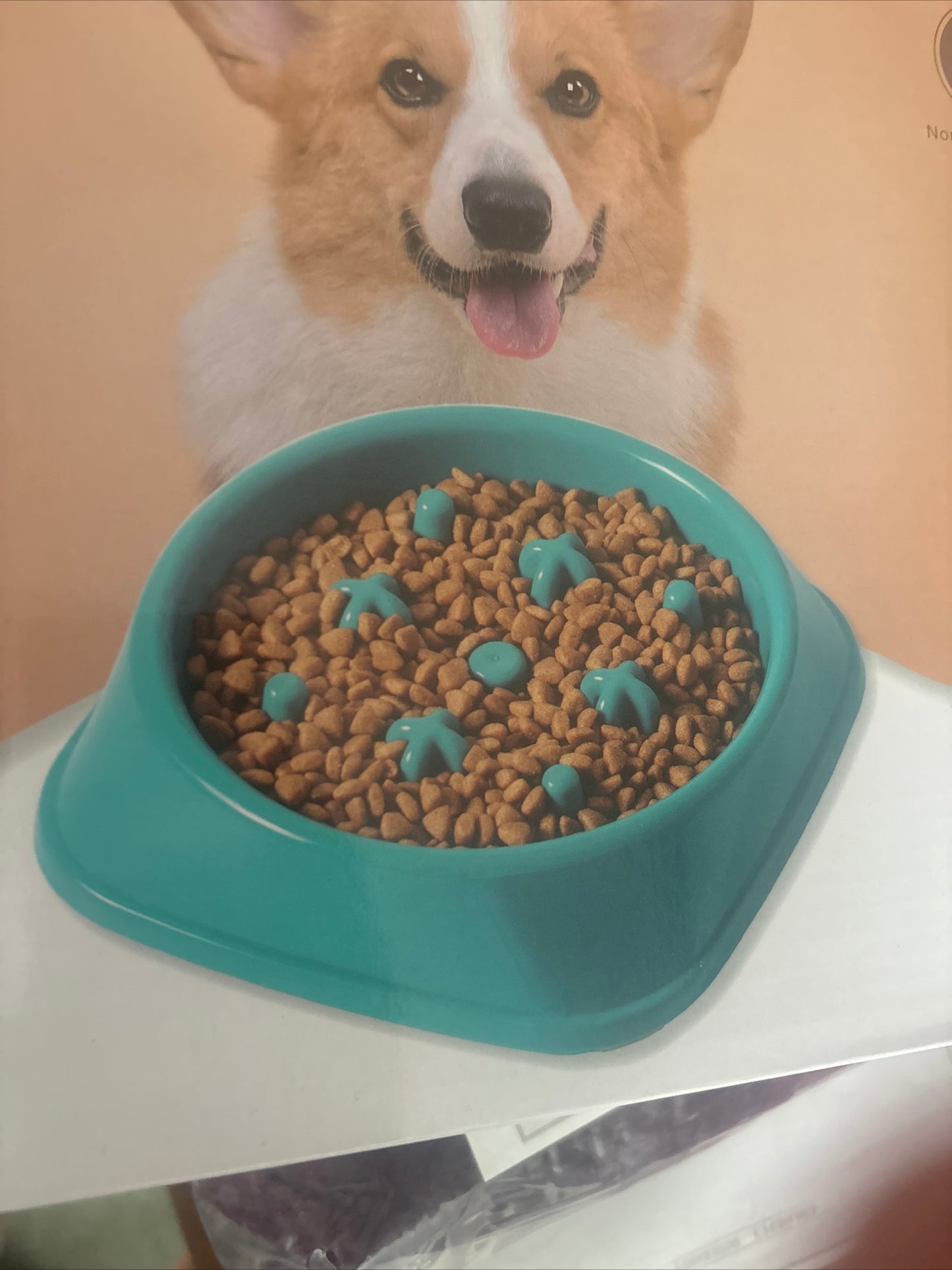 Slow feeding pet bowl