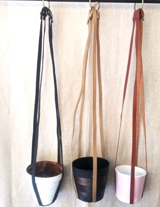 Base Roots Plant Hanger